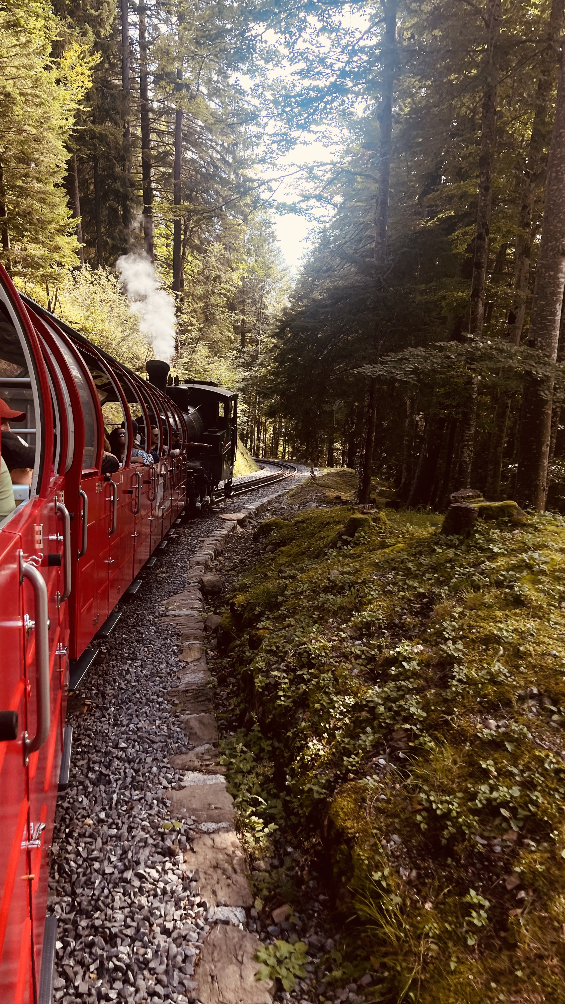Brienzer Rothornbahn